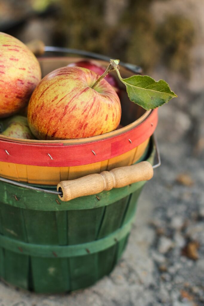 Apples for Winemaking