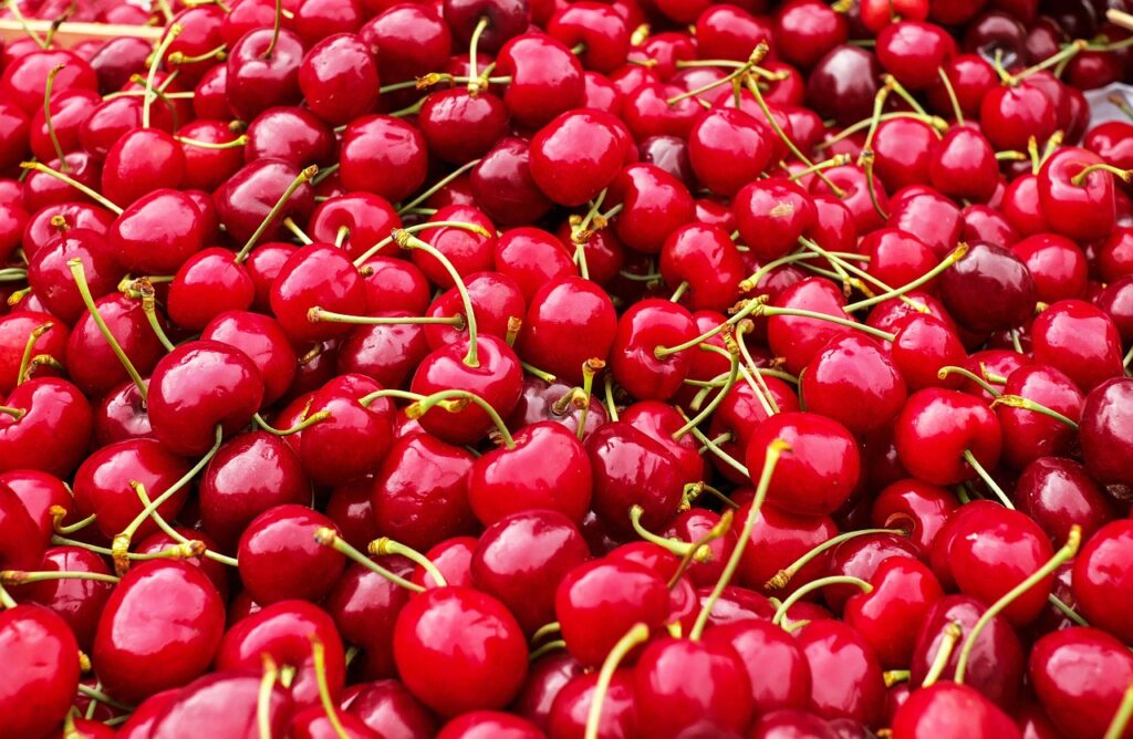 Cherries for Winemaking